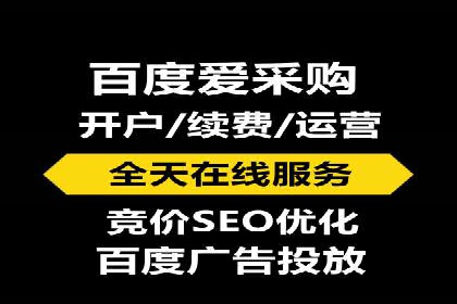 竞价SEM案例分享：行业霸主崛起之路